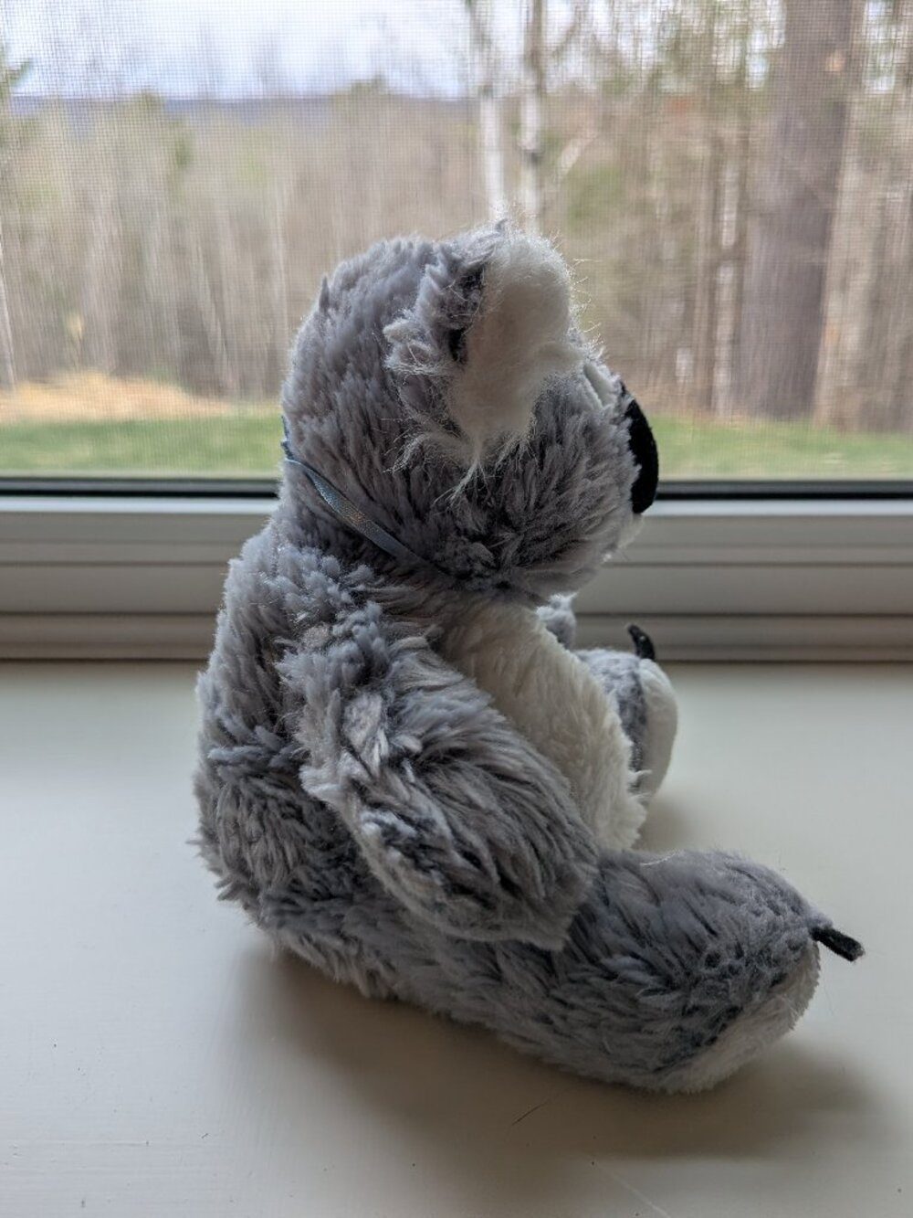 Webkinz - Koala - no code - Picture 2 of 3